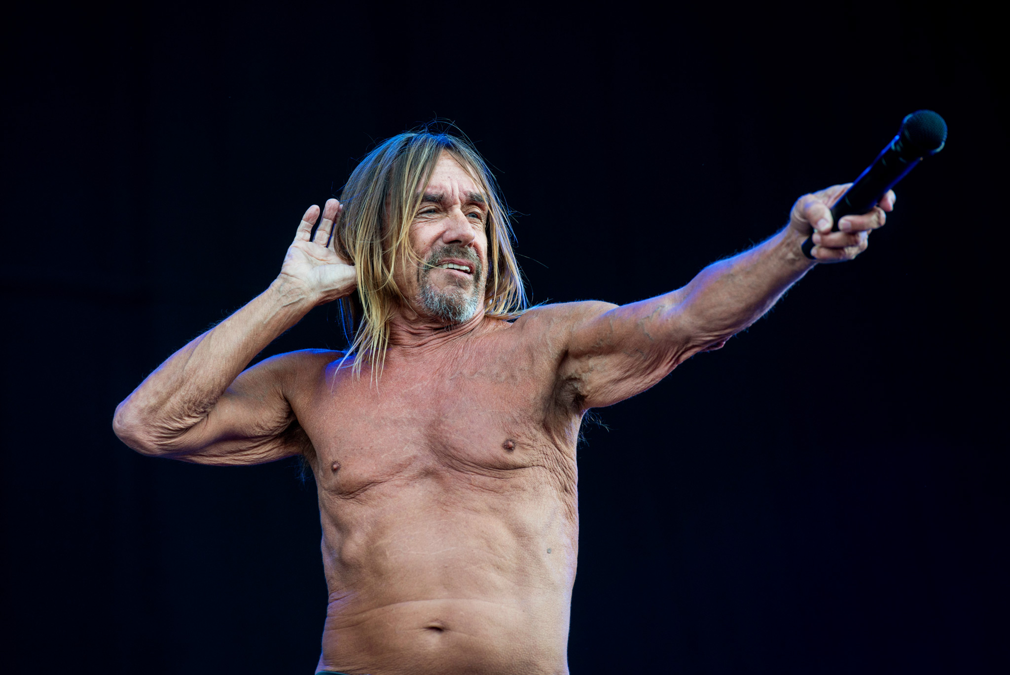 Iggy  Pop  -  Isle  Of  Wight  Festival